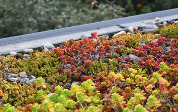 the cost of Smisby green roof installation