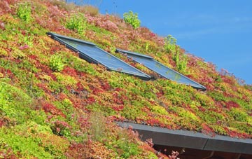 Smisby living roof systems